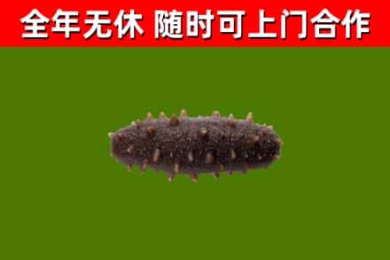 铁东区烟酒回收干海参.jpg